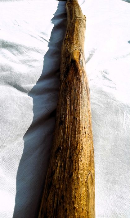 Gosta de sentir o Som de um bom Didgeridoo ?