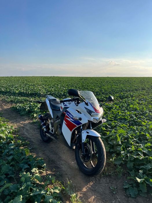 Honda CBR125R ROK 2014
