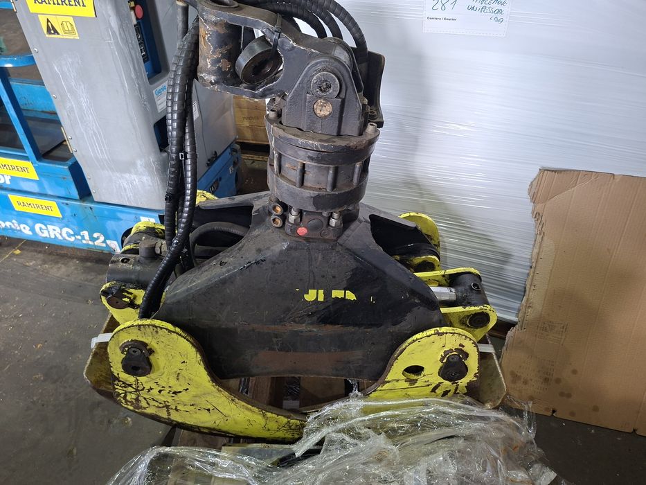 Pinca grifa florestal 043