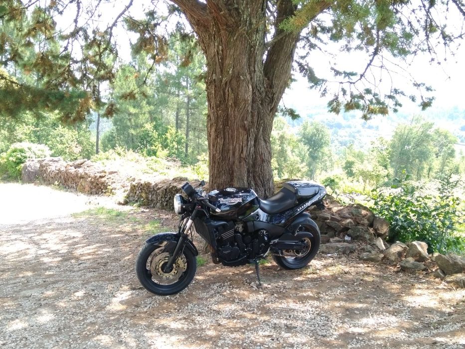 Triumph Speed Triple Mk1