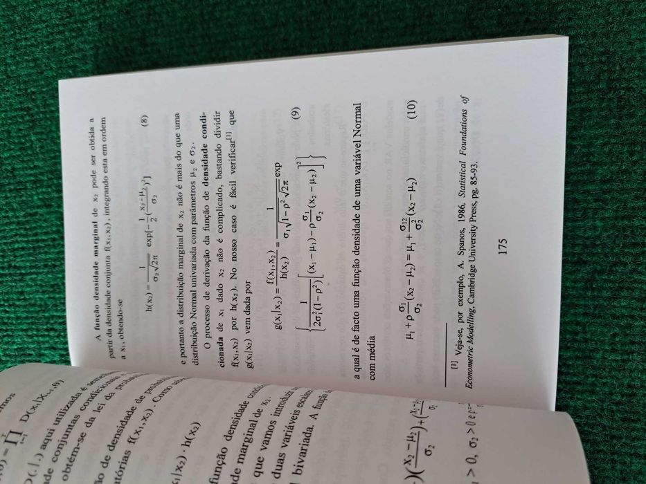 Modelos Dinâmicos, Raízes Unitárias e Cointegração - C. Robalo Marques