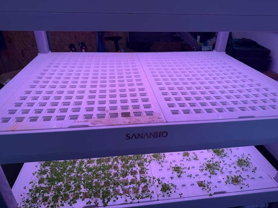 Szafa hydroponiczna do upraw wertykalnych SANANBIO RADIX Vertical Hydroponic Module 4-warstwowa led farm