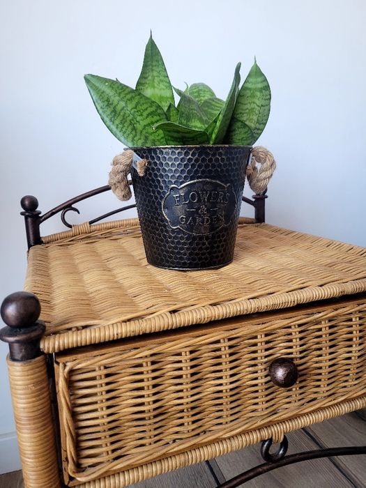 Szafka wiklinowa/stolik nocny/stolik boczny