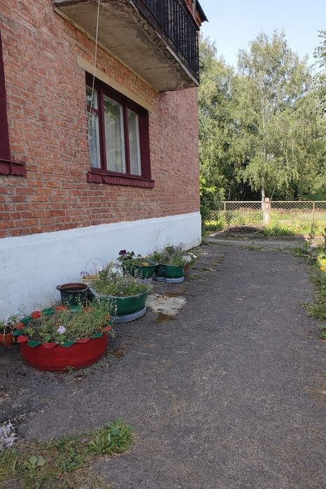 Власник / Трикімнатна квартира Зміїв