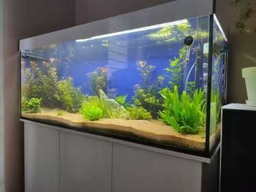 Akwarium proste 120x40x60 z pokrywą 288 litrów