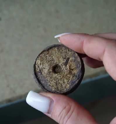 Добриво торф'яні таблетки для розсади