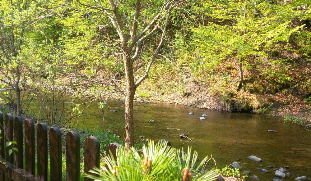 Domek nad samą rzeką ogrodz.Balia jacuzzi Beskidy Brenna Ustroń Wisła