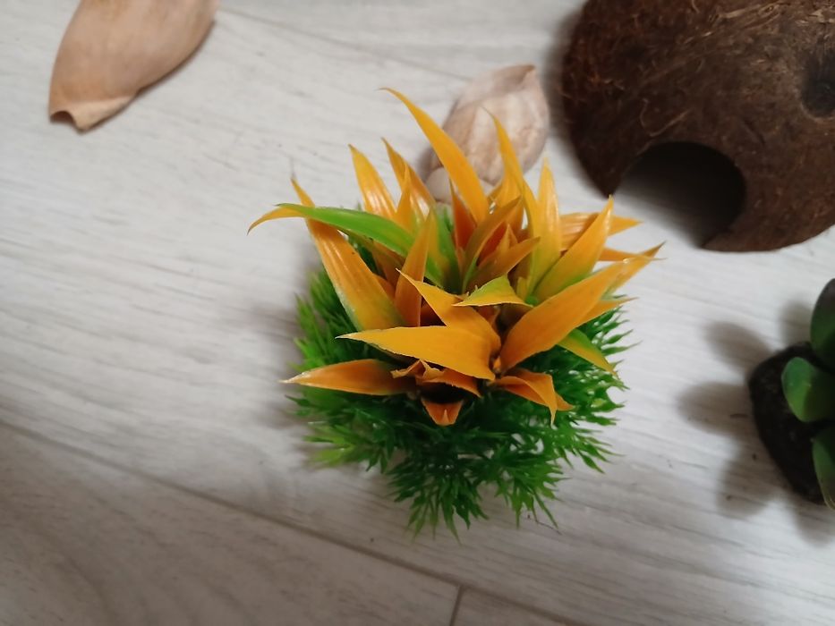 Ozdoby do akwarium lub terarium