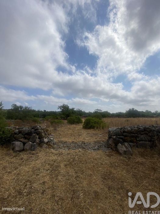 Terreno em Santa Catarina da Fonte do Bispo de 10000,00 m2