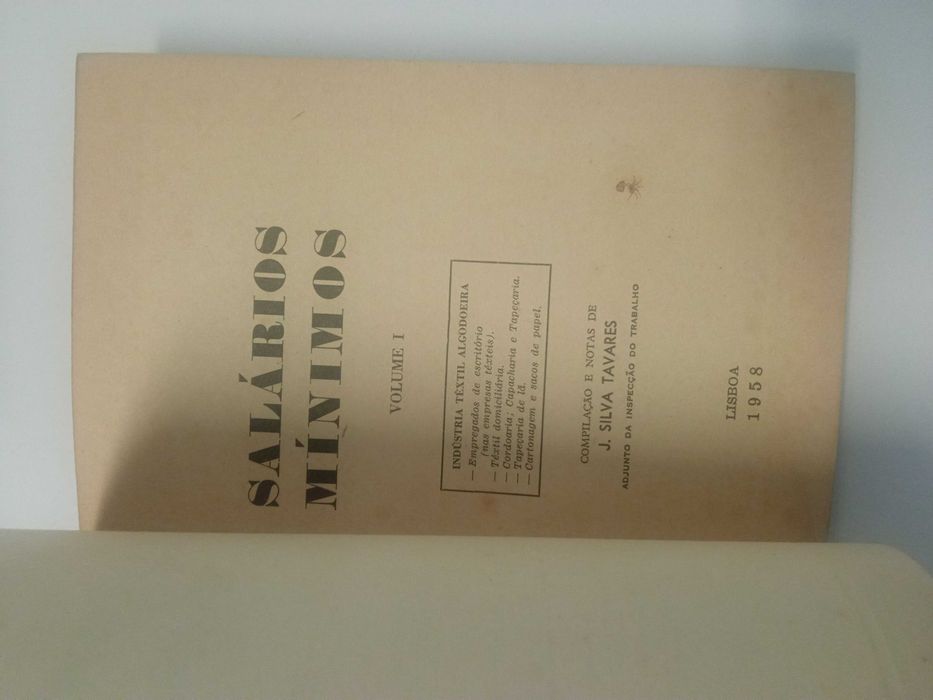 Salários Mínimos, de J. Silva Tavares