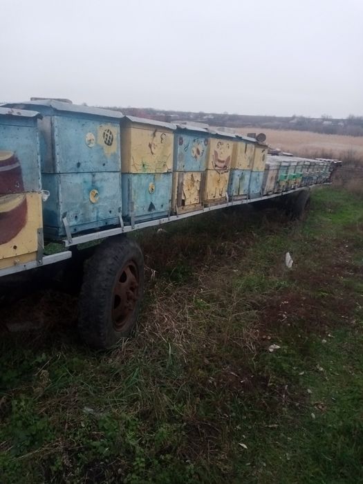 Платформа,прицеп