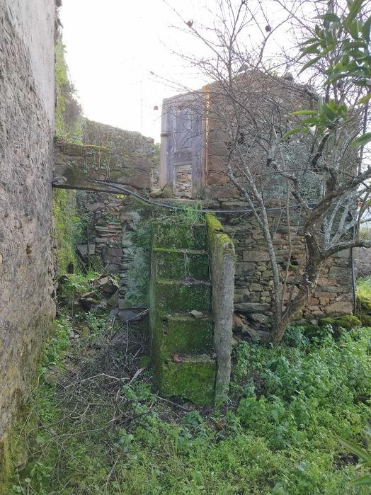 Casa antiga com terreno