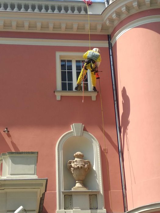 Usuwanie gniazd owadów/Osy, szerszenie. Opryski komary - kleszcze.