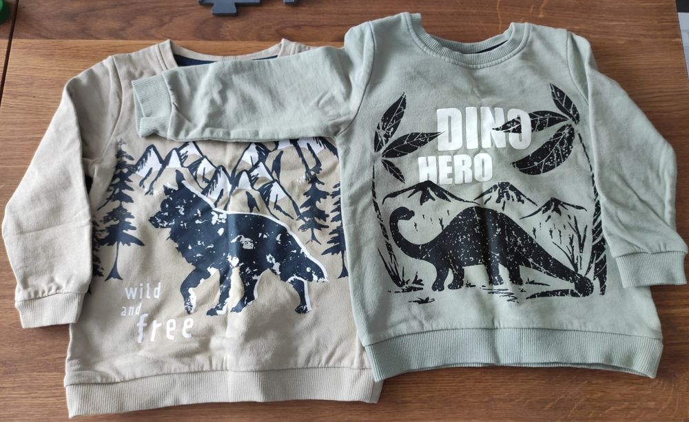 Sweterki 86r. Dino i Wild, natura