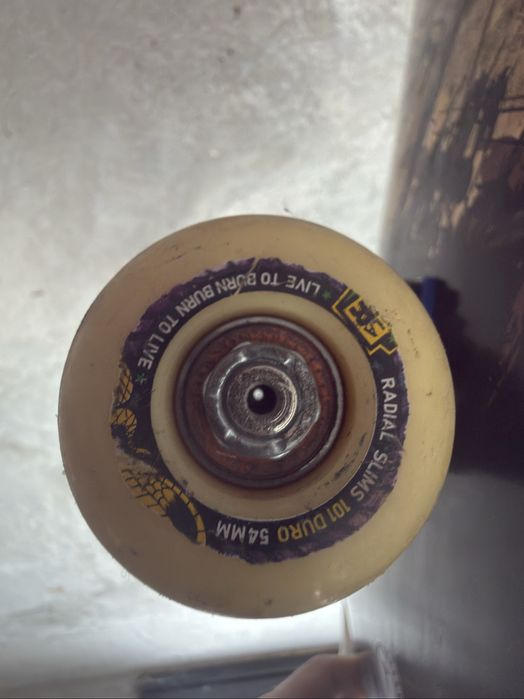 Skate Board Professional