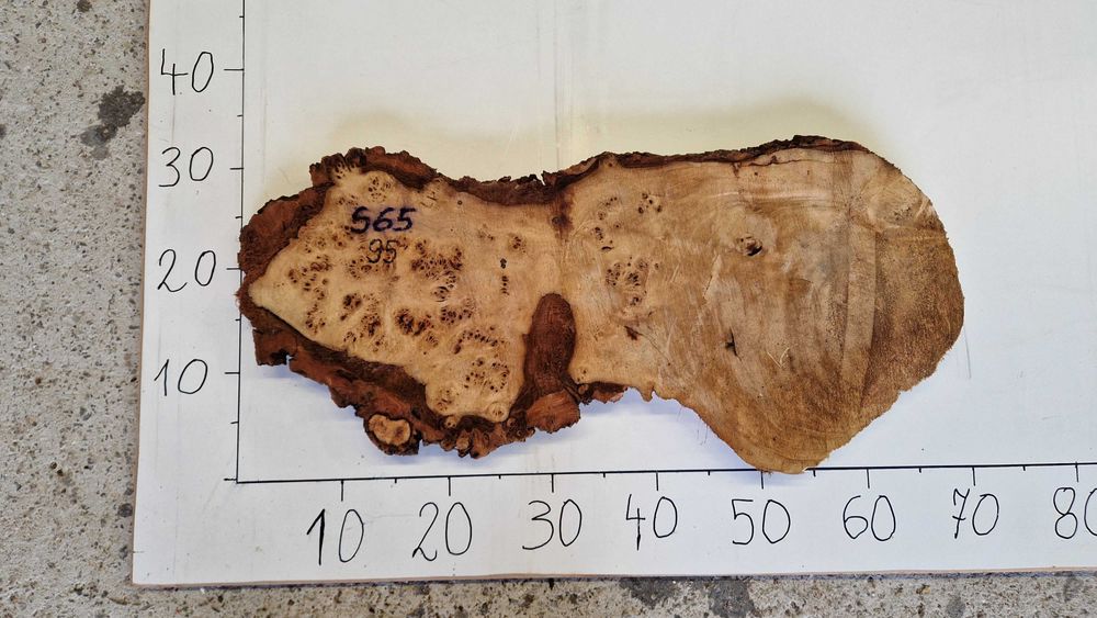 Plaster czeczot czeczota  pod suszarni próżniowej