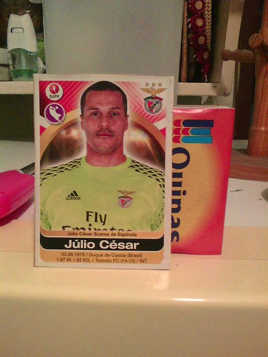 julio cesar 2016 guarda redes cromo panini recuperado 057