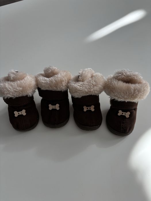 Взуття для собак