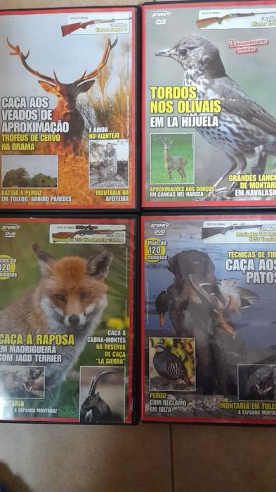 Caça aos patos, raposa, veados, e tordos