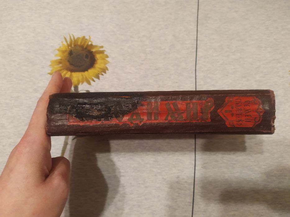 Thumbnail 5