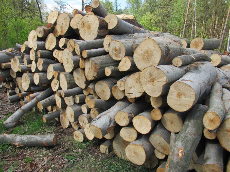 Metrówki opałowe, różne gatunki!