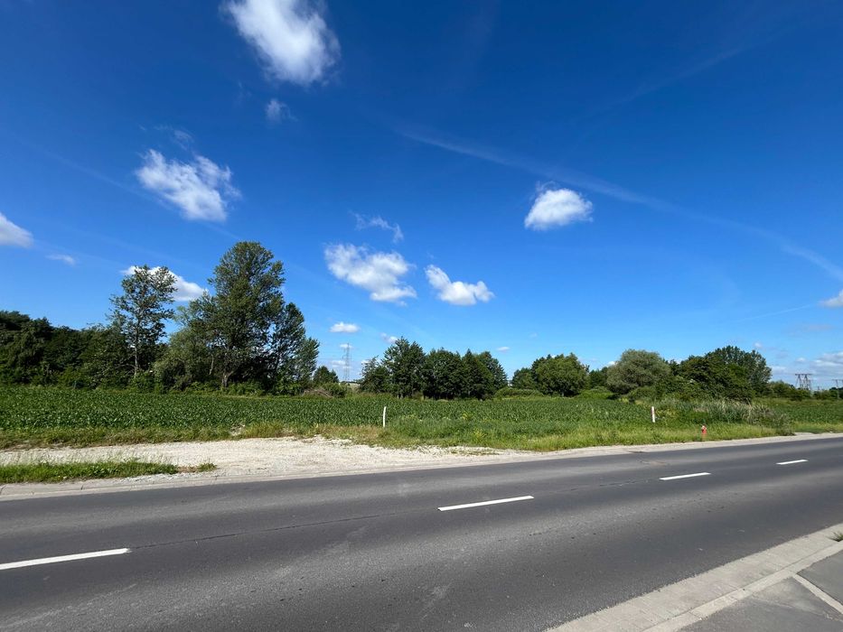 Jedyna taka działka w Oleśnicy – 3371 m² nad stawem | Pierwsza linia brzegowa | Lucień | ul. Stawowa | Bezpośrednio od właściciela - Widok 4