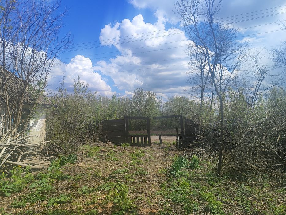 Хата Дача с.Потік Мироновский р-н Київська обл