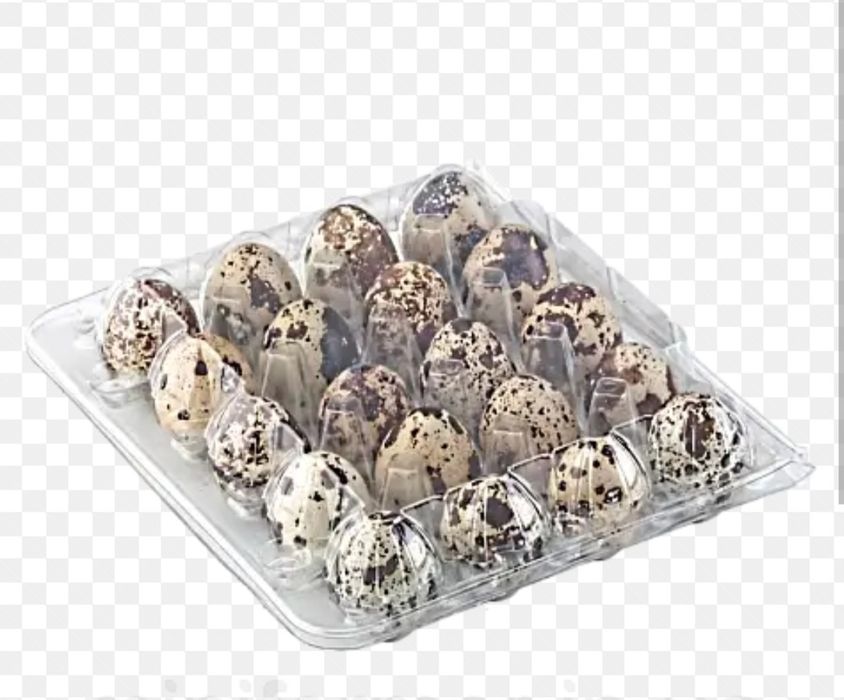 Продам перепелині яйця