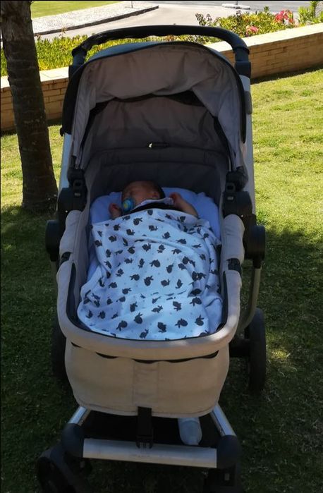 Conjunto de viagem ovo+alcofa+carrinho+base ISOFIX Babybuggz Revo 3in1