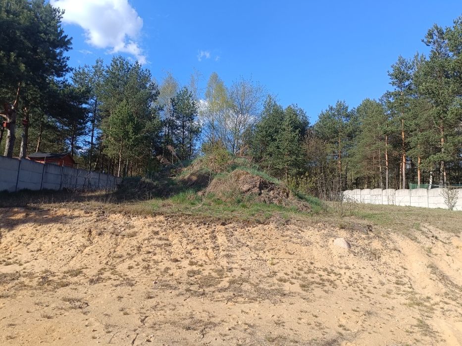 Oddam ziemię za darmo