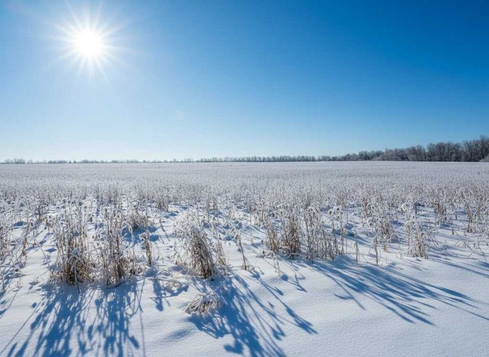 Продаж земельної ділянки 71 сотка - ОСГ. До траси - 100 метрів. ID:608