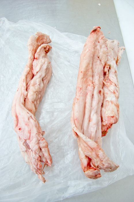 Słonina , sadło smalec