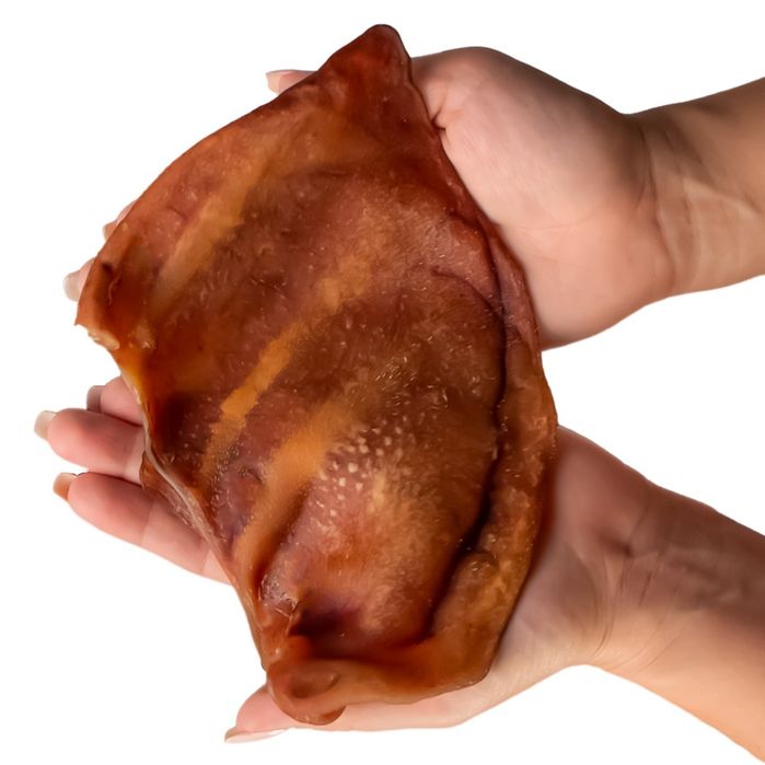 50 sztuk!! Duże wieprzowe ucho Dogario Bonni Pig's Ear L