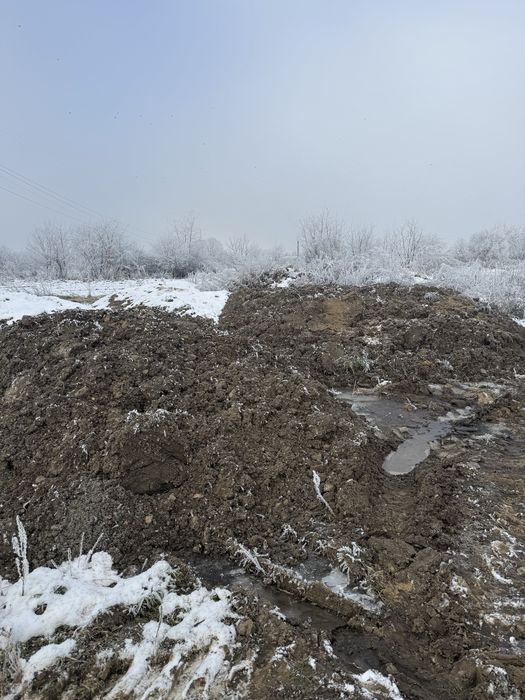 Oddam ziemie za darmo