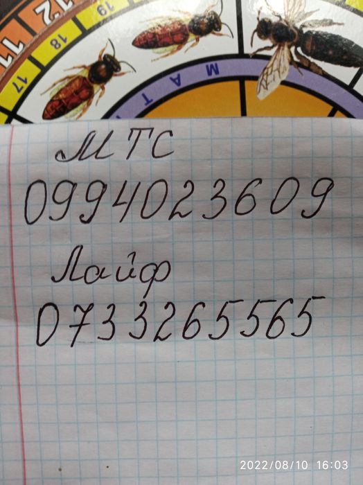 Матки Бакфаст В-200