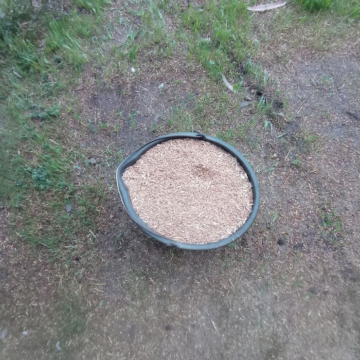 Маємо на продаж пшеничку.