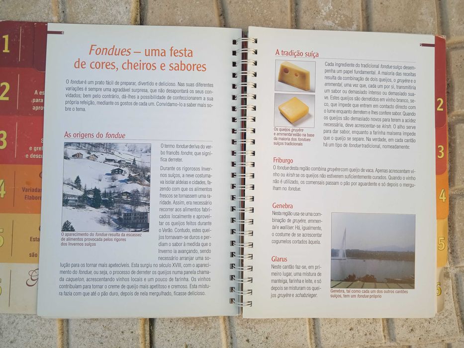 Livro - Fondues & Grelhados na Pedra