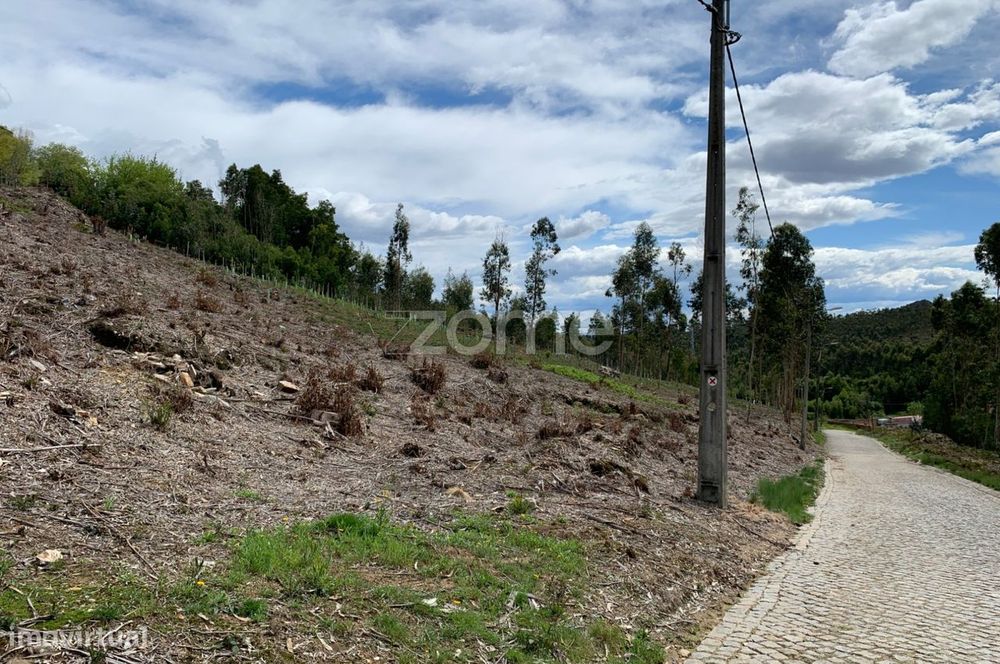 Terreno para exploração florestal e agrícola - Santa Justa, Valongo