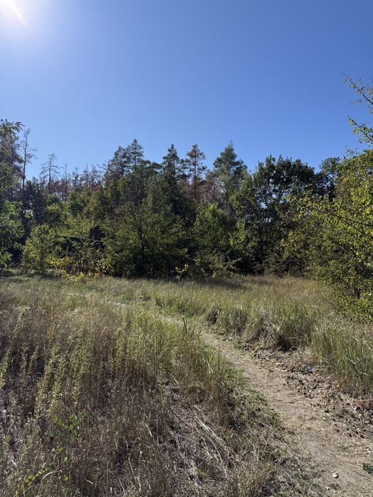 Продаж турбази 4,5 га у Дніпровському р-ні с Могилів!