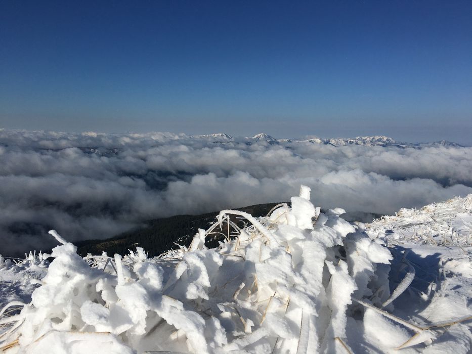 ДЖИПИ ТА КВАДРО ТУРИ КАРПАТИ [Буковель,Микуличин,Яремче