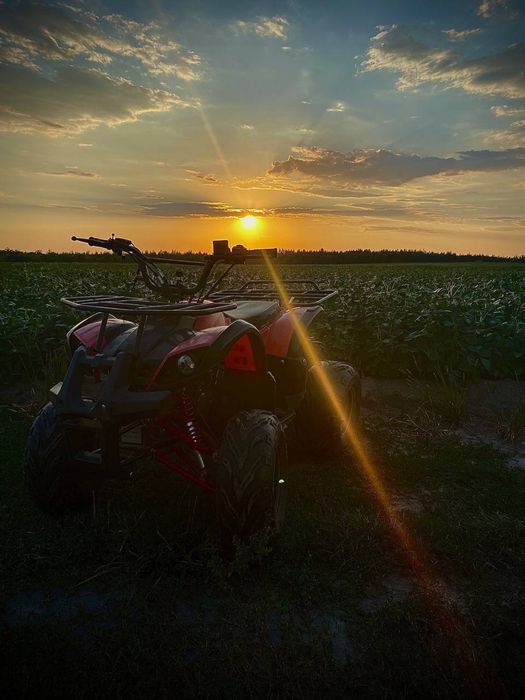 Квадроцикл Viper ATV_11.