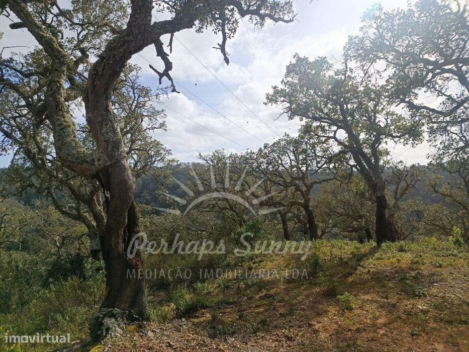 Terreno Rustico São Francisco da Serra