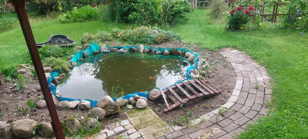Rodzinne ogrody działkowe. - Widok 3