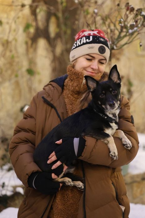 Malutki samiec do adopcji