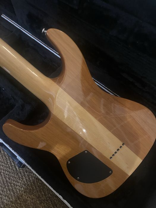 ESP LTD SC 600 - Stephen Carpenter Signature