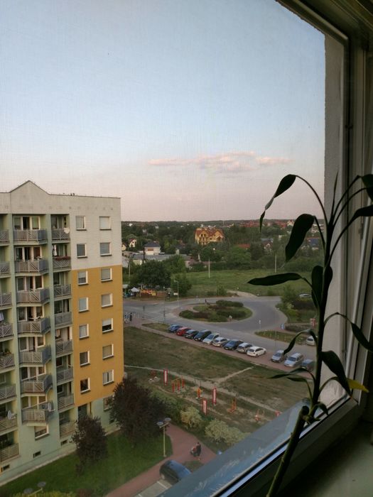 2 pokoje klimatyzacja miejsce postojowe Aluzyjna - Widok 5