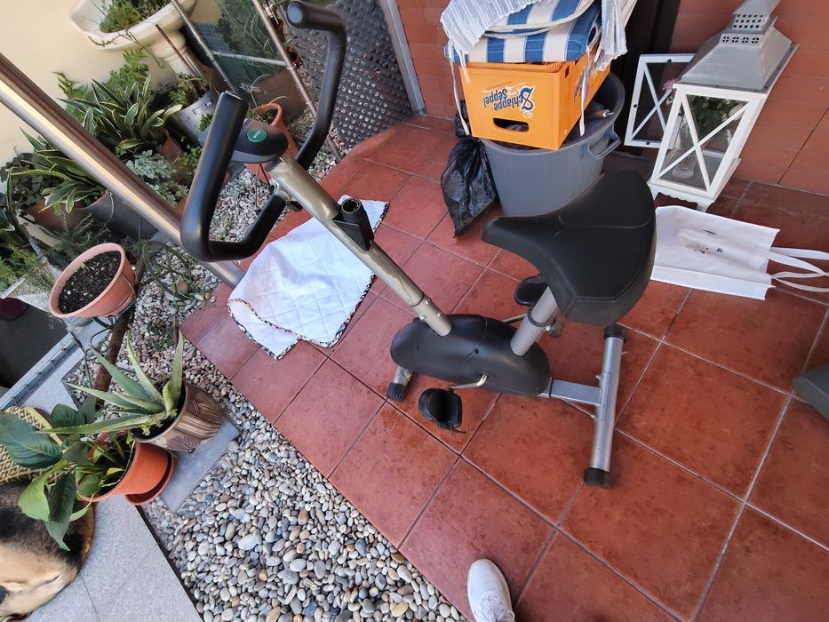 Bicleta estatística