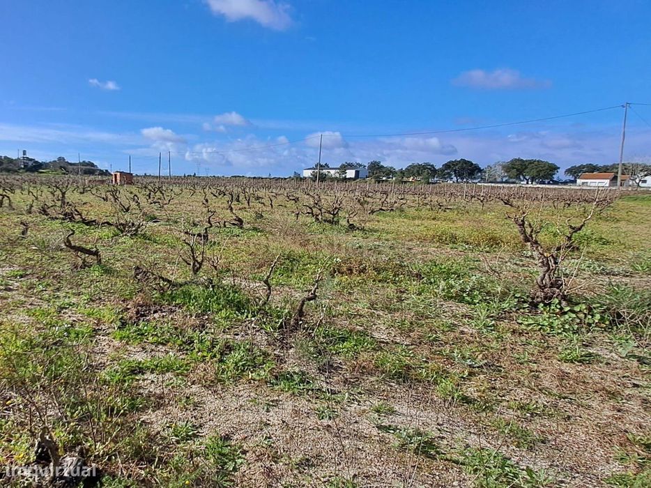 Terreno nas Águas de Mouras
