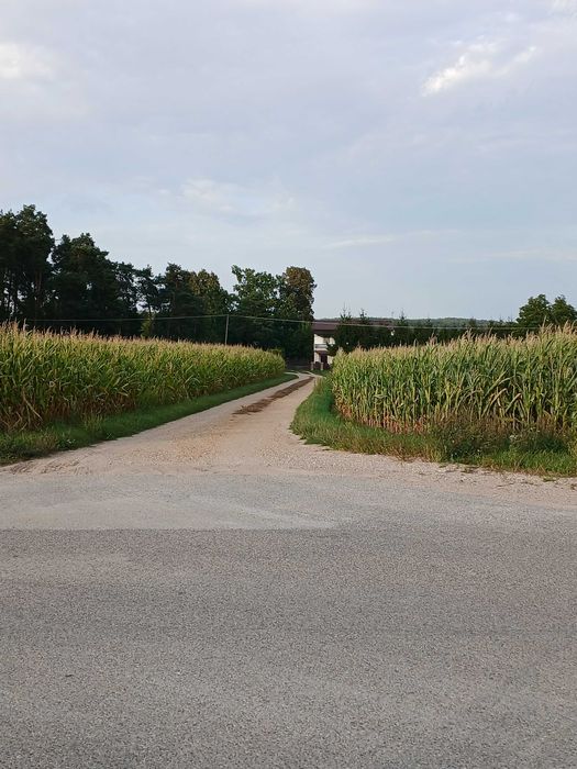 Ziemia rolna z możliwością zabudowy - Widok 2