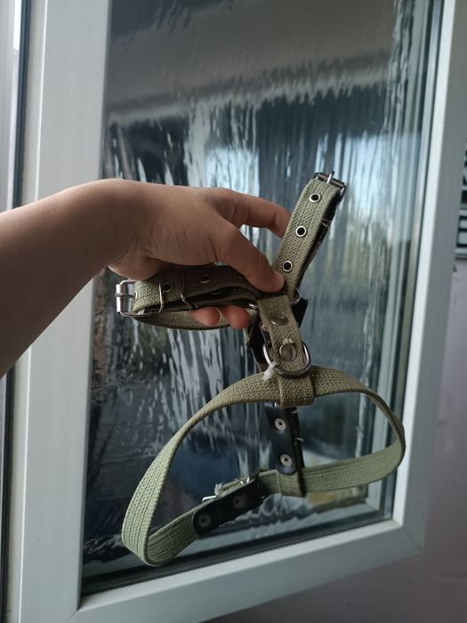 Ошейник для собаки